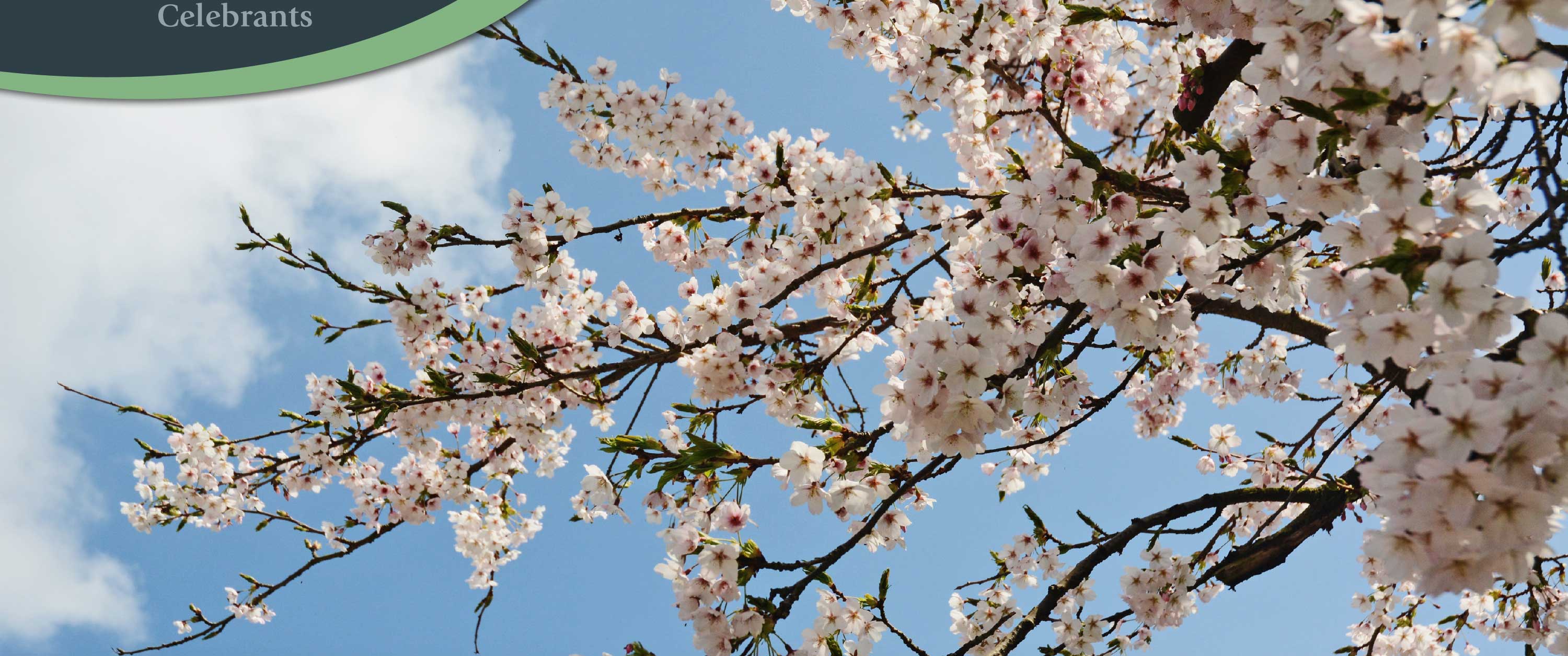 celebrate the life of a loved one, funeral speakers